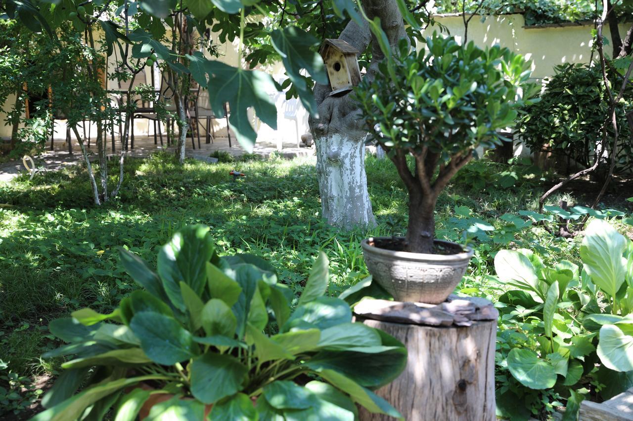 4Bd Appartaments With Cozy Garden Tbilisi Exteriör bild